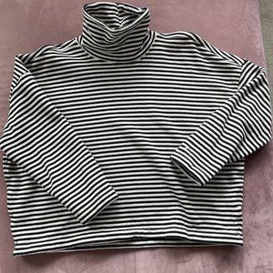 Everlane Turtleneck Sweatshirt sz M
